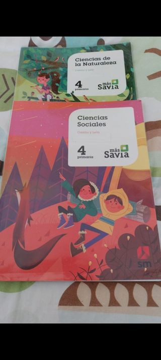 Libros cuarto primaria