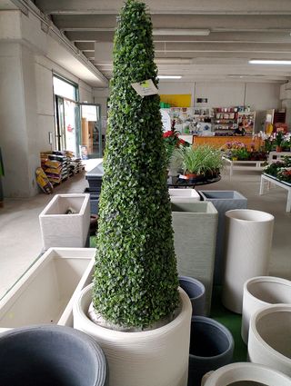 Buxus sintetico 