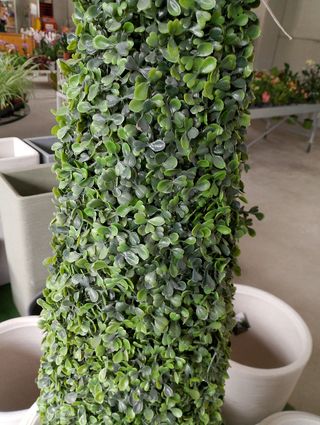 Buxus sintetico 