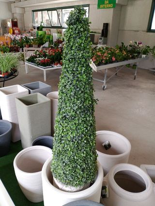 Buxus sintetico 