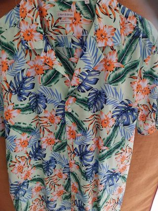 Camicia maniche  corte