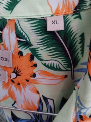 Camicia maniche  corte