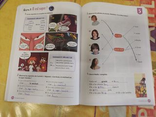 LIBROS FRANCES 5°PRIMARIA SANTILLANA 