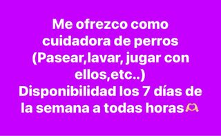 Cuidadora de perros