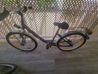Bicicleta paseo
