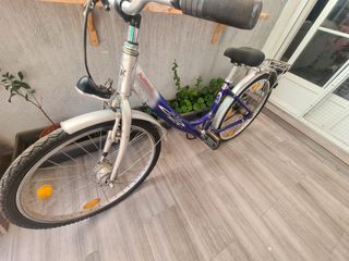 Bicicleta paseo