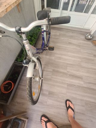 Bicicleta paseo