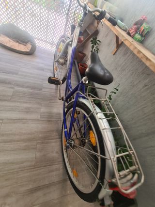 Bicicleta paseo