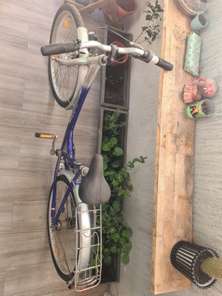Bicicleta paseo
