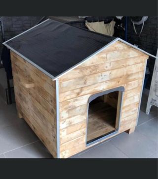 Caseta perro