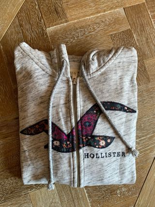 Sudadera Hollister