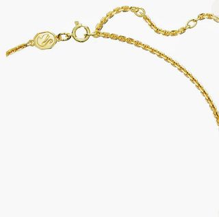 Swarovski collar perfecta condiciones (búsqueda)