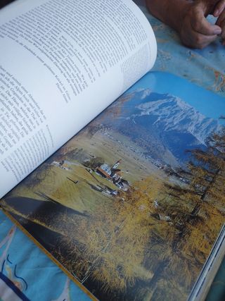 Los 2 libros de los alpes en aleman