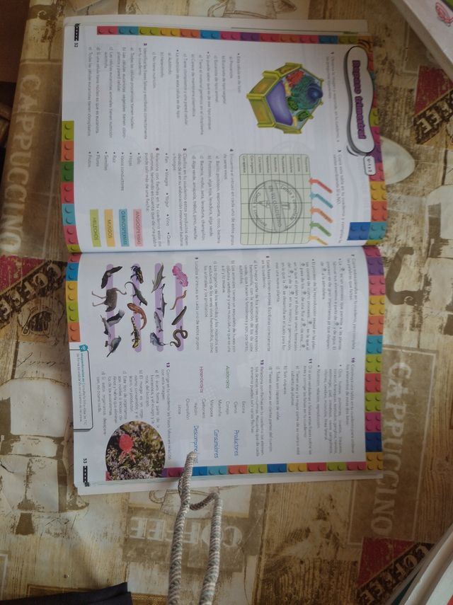 Libro de texto ciencias de la naturaleza