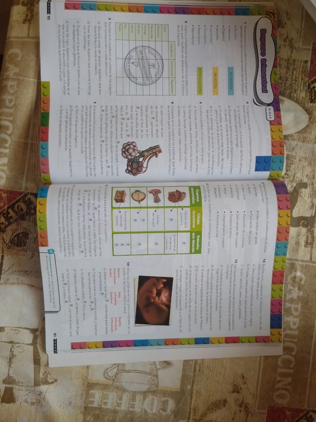 Libro de texto ciencias de la naturaleza