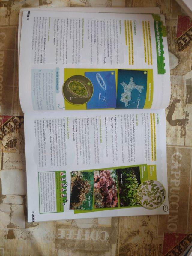 Libro de texto ciencias de la naturaleza