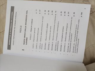 Libro per sicurezza aziendale 