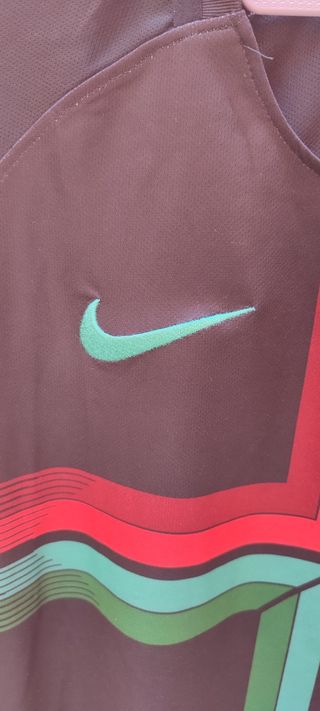 Maglia Nike Portogallo Pre Match 2018