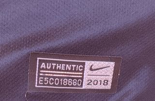 Maglia Nike Portogallo Pre Match 2018