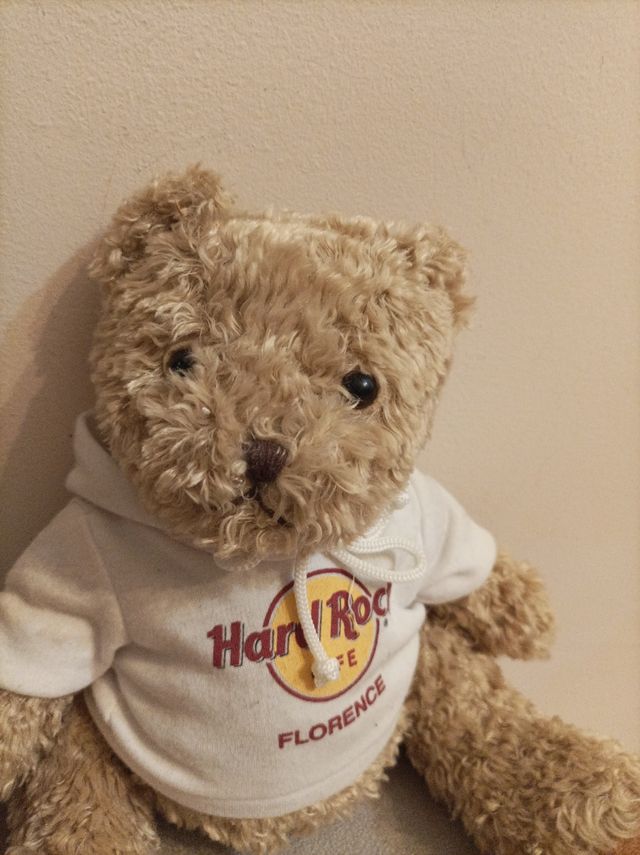 Orsacchiotto Hard Rock Florence