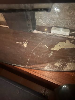 Acuario o terrario