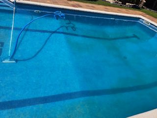 Jardinero podas, desbroce,limpieza