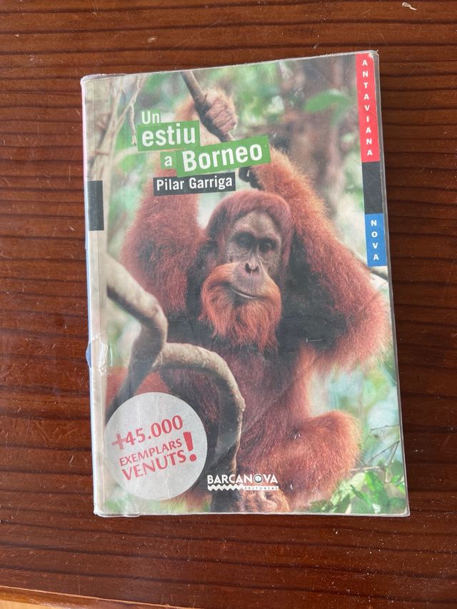 Un estiu a Borneo