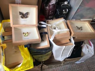 30 Quadros Mariposas