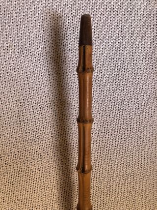 Baston antiguo dandy  bambu “whangee”