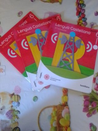 Libros 6 de primaria