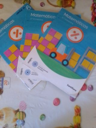 Libros 6 de primaria