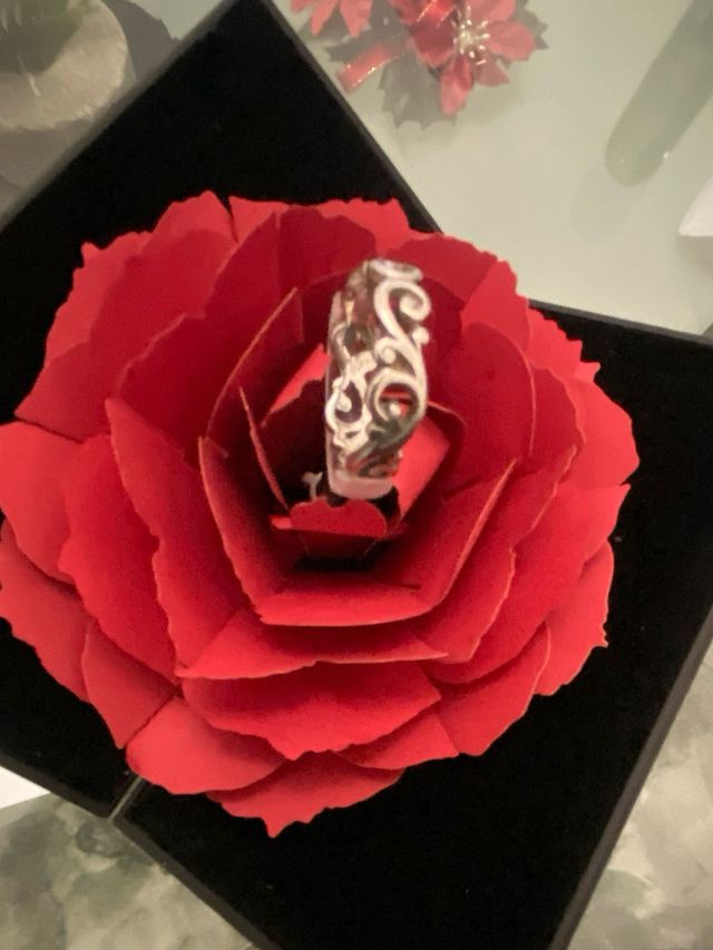 Anillo de plata talla 17 sello 925