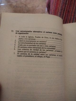 Iglesia:carisma y poder