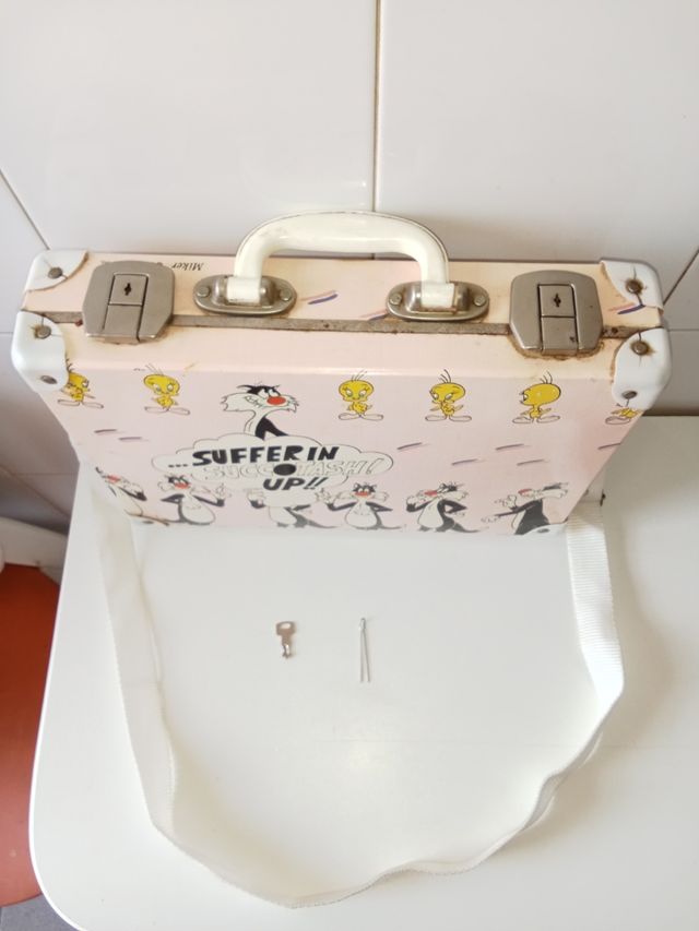 Custodia e violino Warner Bros. Silvestre