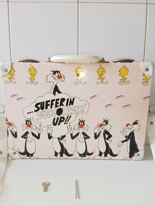 Custodia e violino Warner Bros. Silvestre