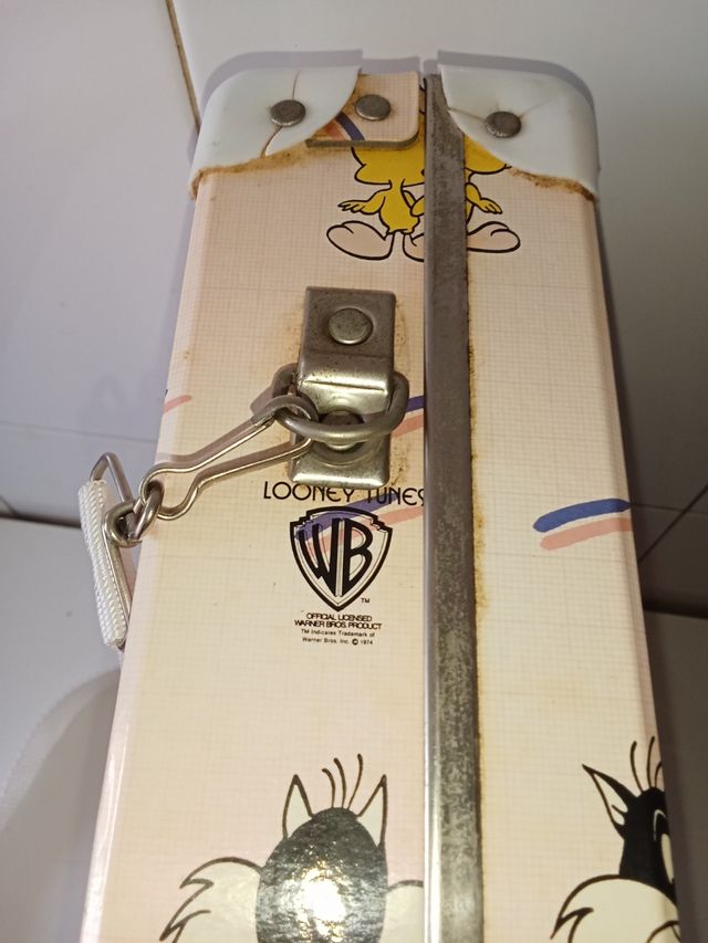 Custodia e violino Warner Bros. Silvestre