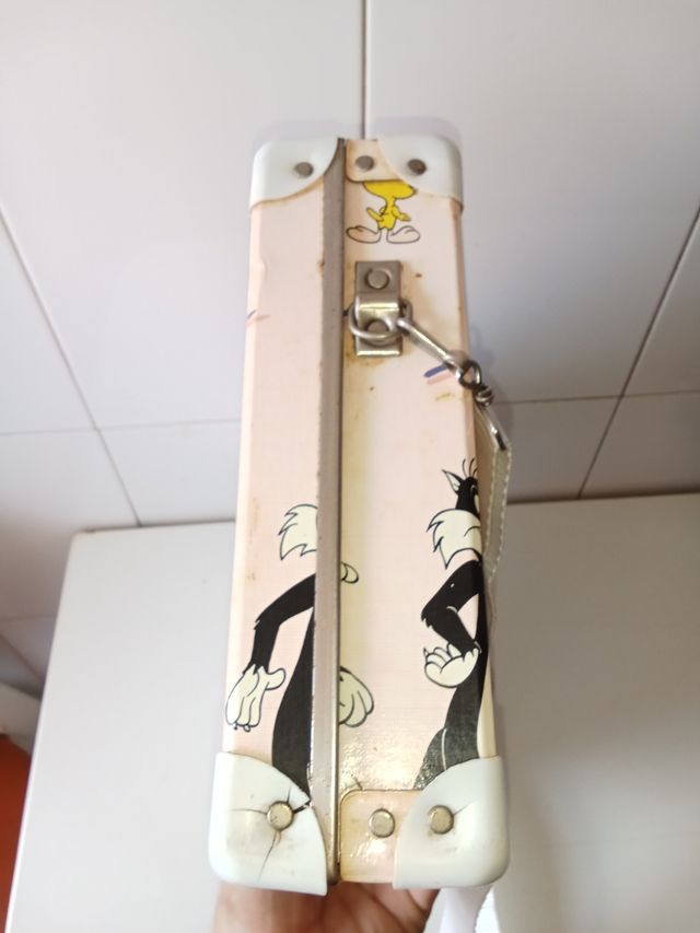 Custodia e violino Warner Bros. Silvestre