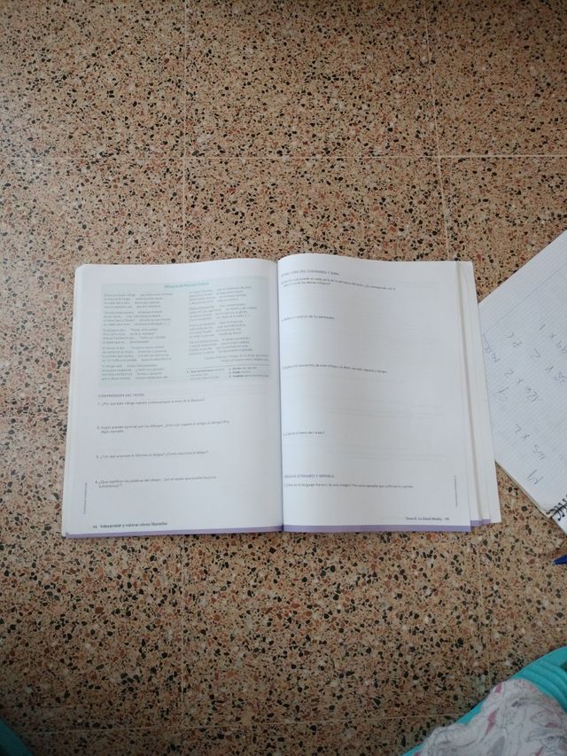 Lengua castellana y literatura 1