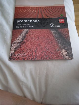 Cahier d'activités 2* ESO frances