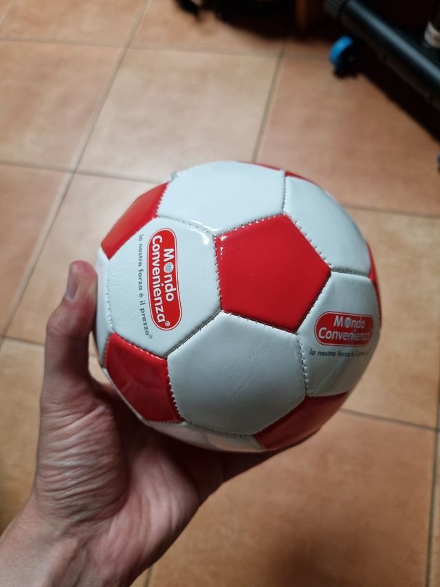 Pallone in cuoio piccolo