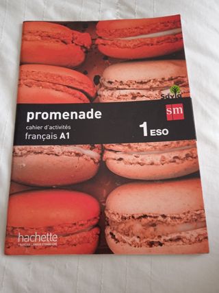 Cahier d'activités  1 ESO*  Francés