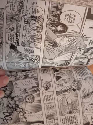 Negima! 1 Cómic Manga