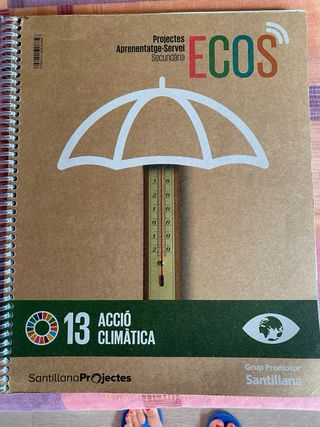 Acció climàtica