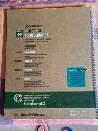Acció climàtica
