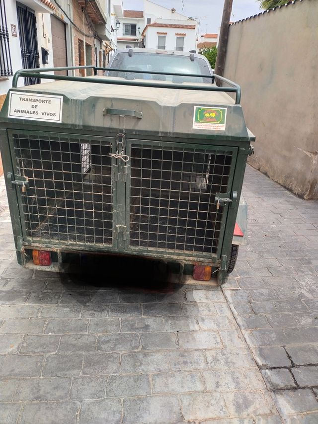 Carro para transporte de perros