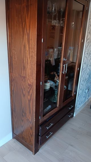 Vitrina critalera