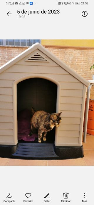 Casa Para Perros Exteriores