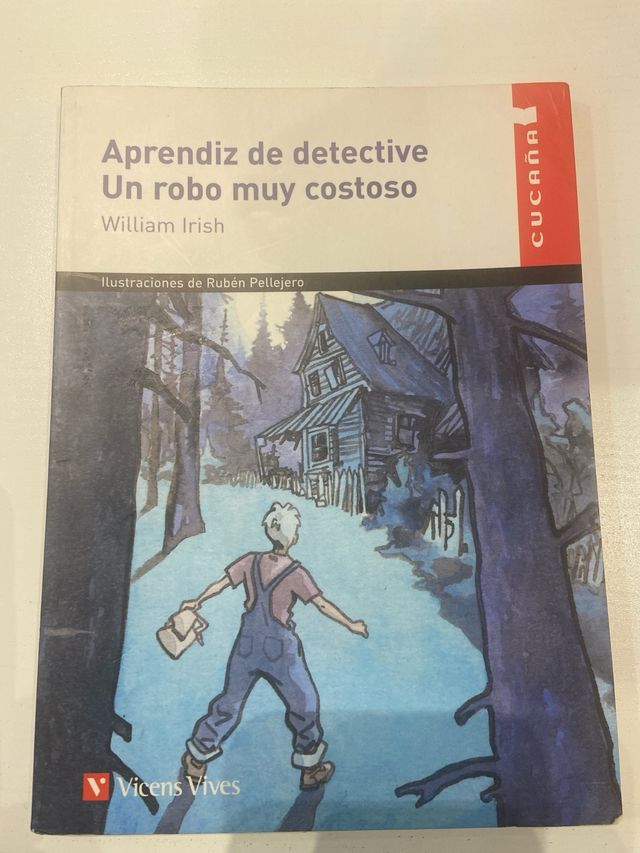 Aprendiz de detective. Un robo muy costoso