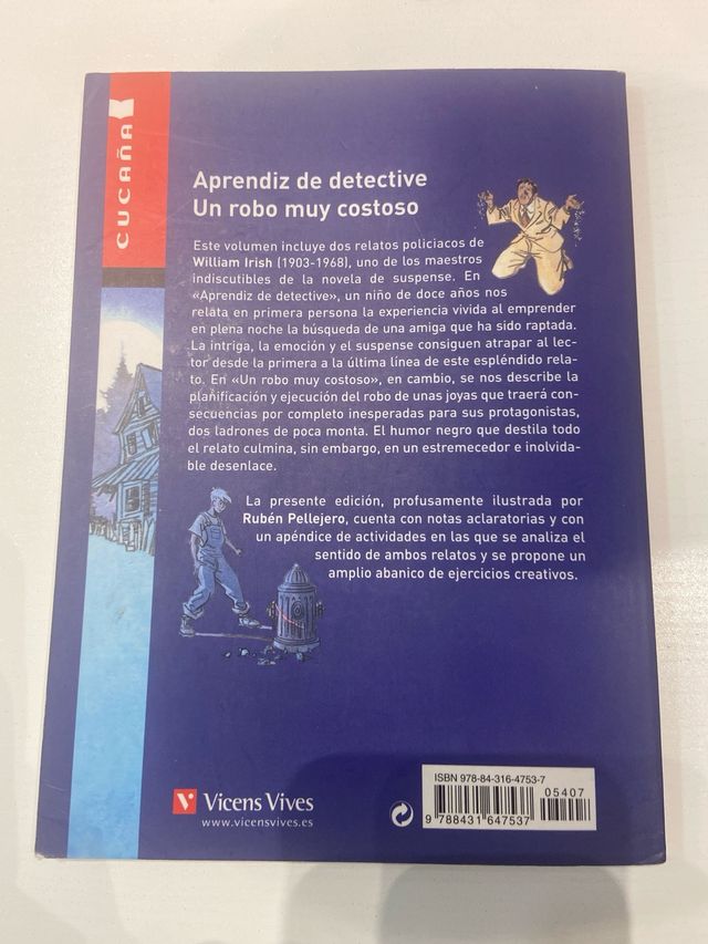 Aprendiz de detective. Un robo muy costoso