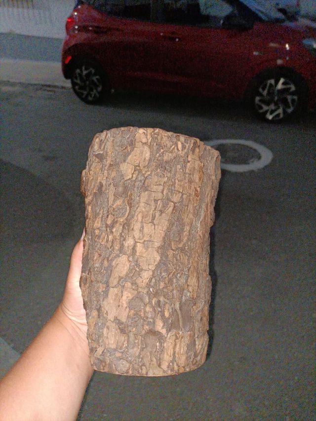 Busto de madera cristo 